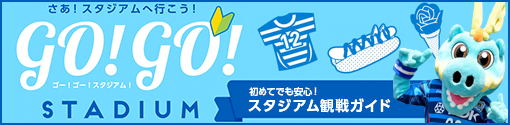 初めてでも安心！スタジアム観戦ガイド