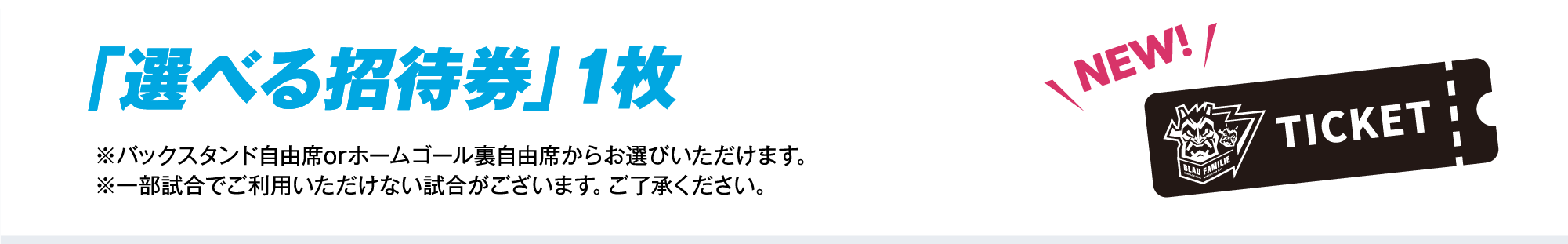 バックスタンド自由席・ホームゴール裏自由席から選べる招待券1枚