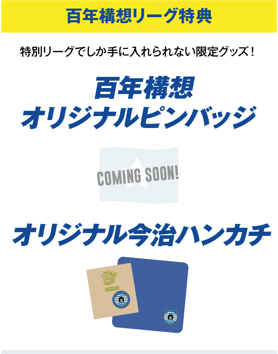 百年構想リーグ特典 オリジナルピンバッジ オリジナルハンカチ