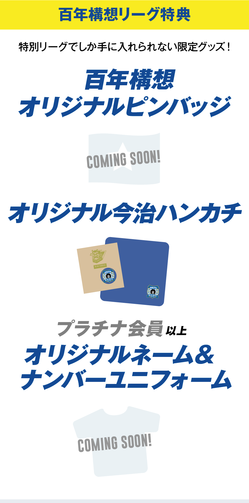 百年構想リーグ特典 オリジナルピンバッジ オリジナルハンカチ プラチナ会員以上オリジナルネーム&ナンバーユニフォーム