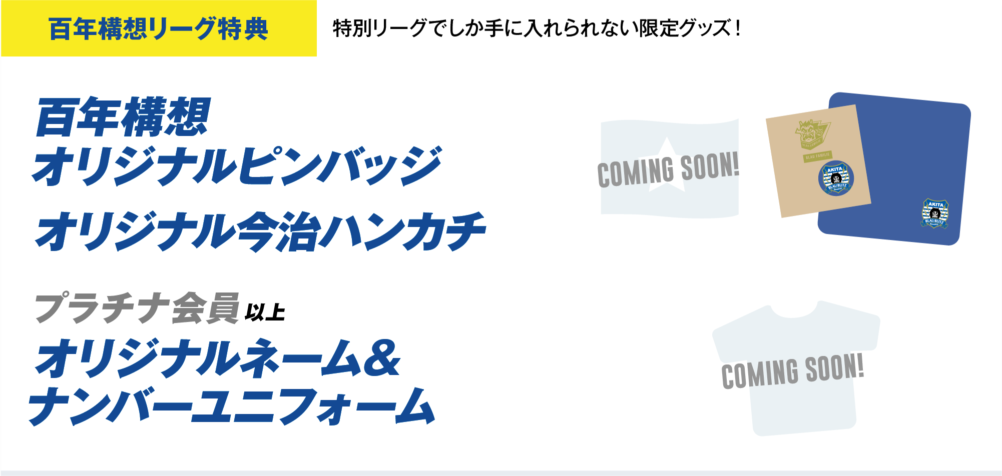 百年構想リーグ特典 オリジナルピンバッジ オリジナルハンカチ プラチナ会員以上オリジナルネーム&ナンバーユニフォーム